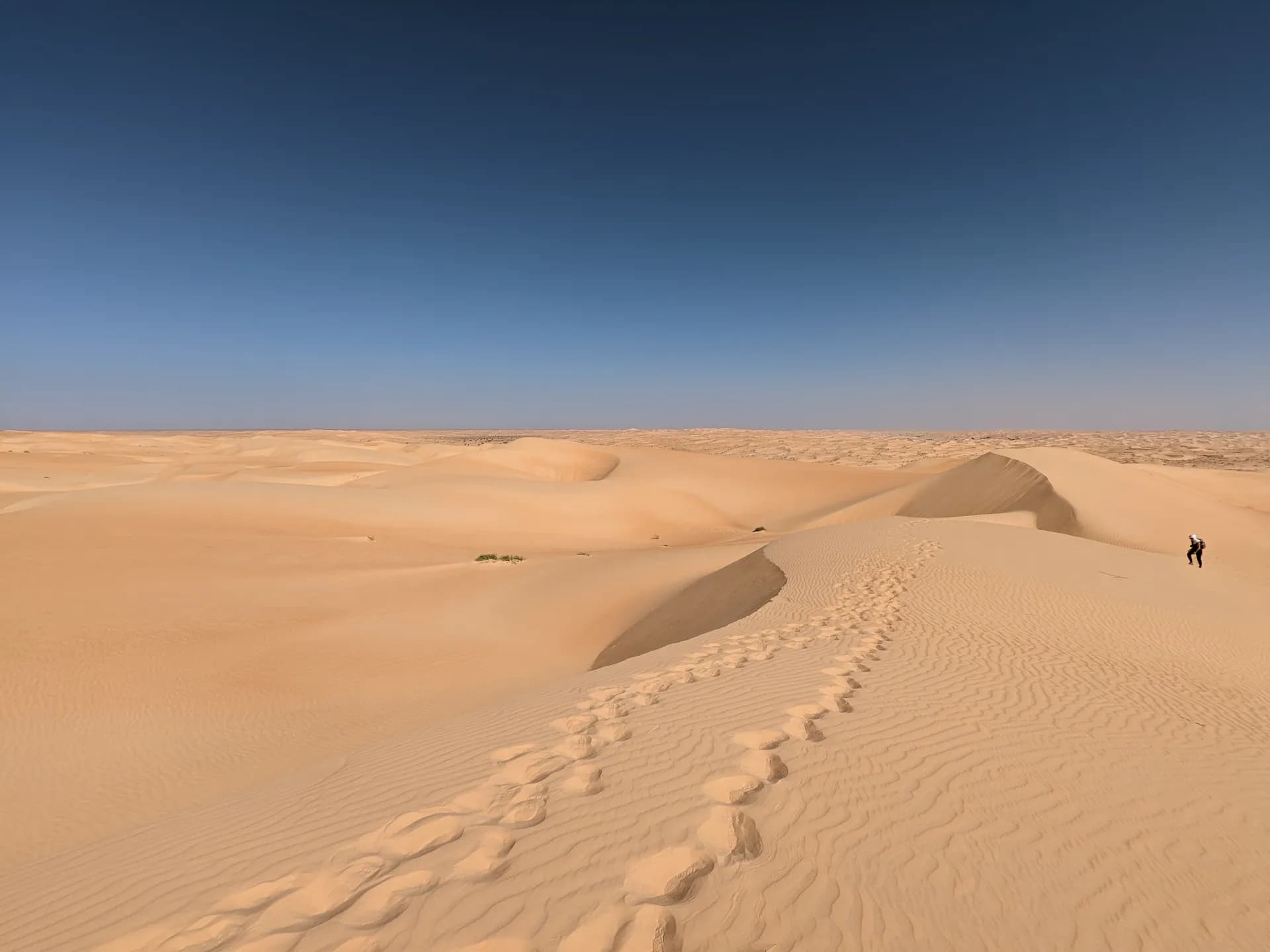 Progression in the immensity of the Mauritanian desert