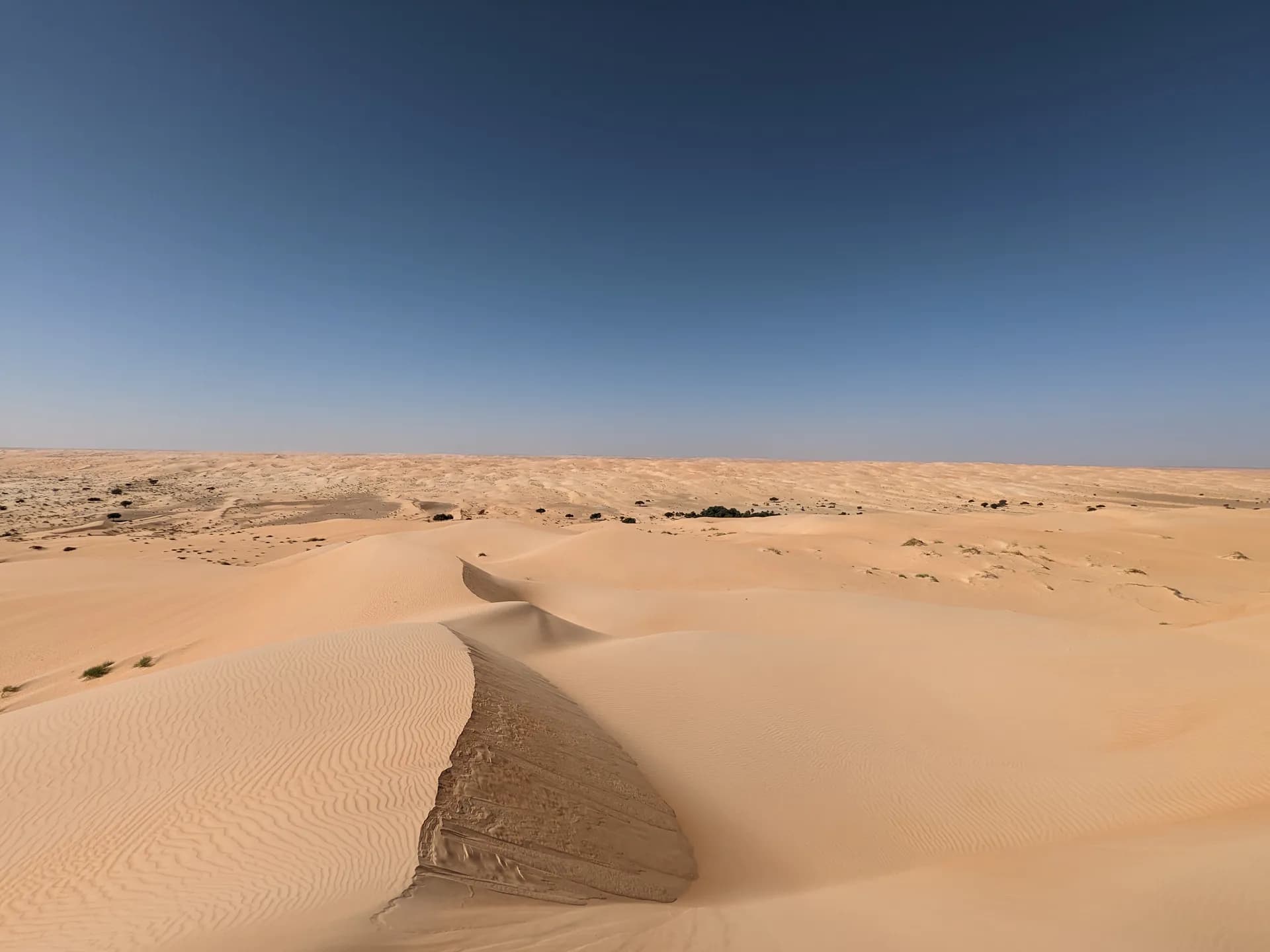 Progression in the immensity of the Mauritanian desert