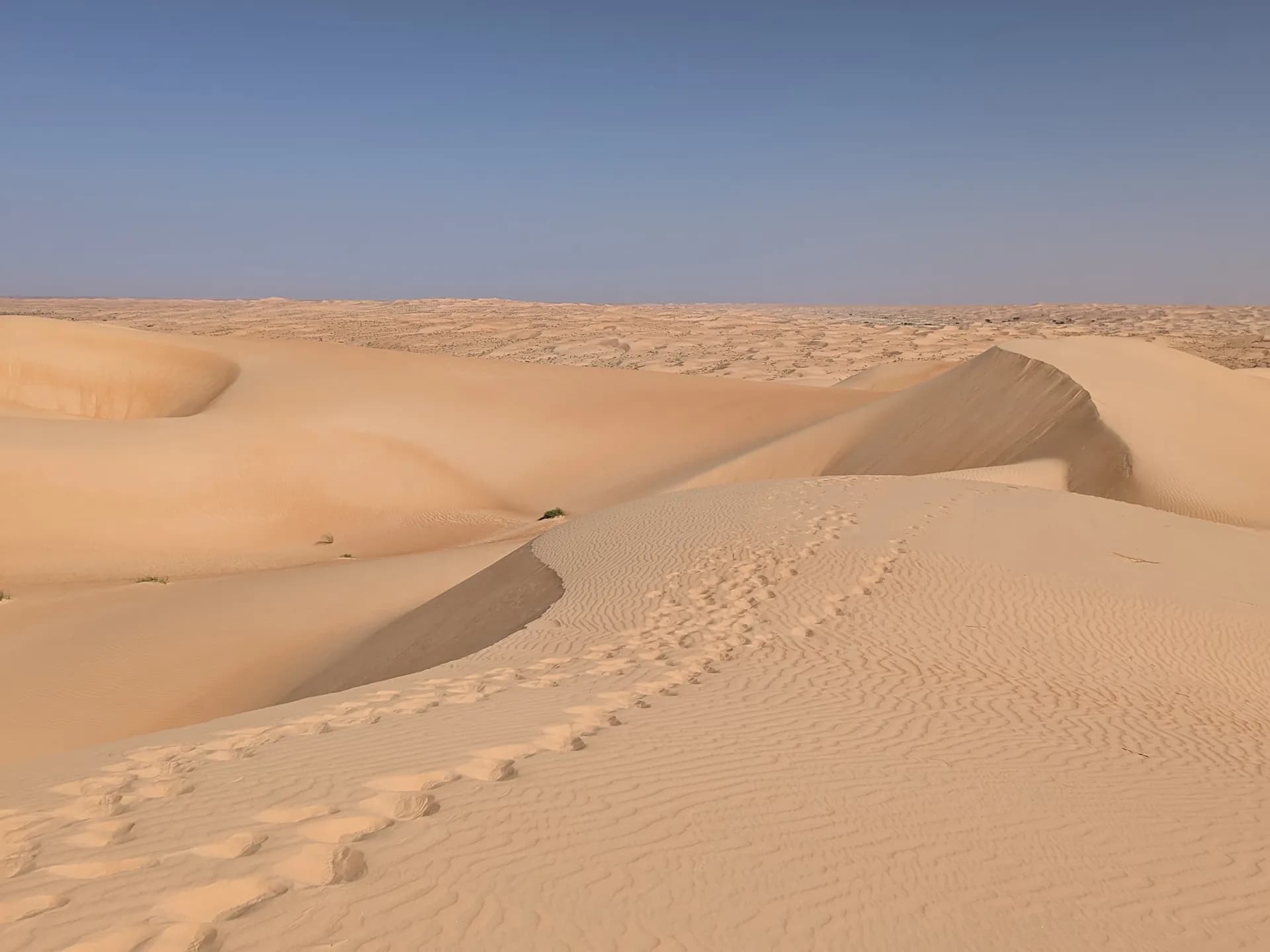 Our ephemeral traces in the Mauritanian dunes