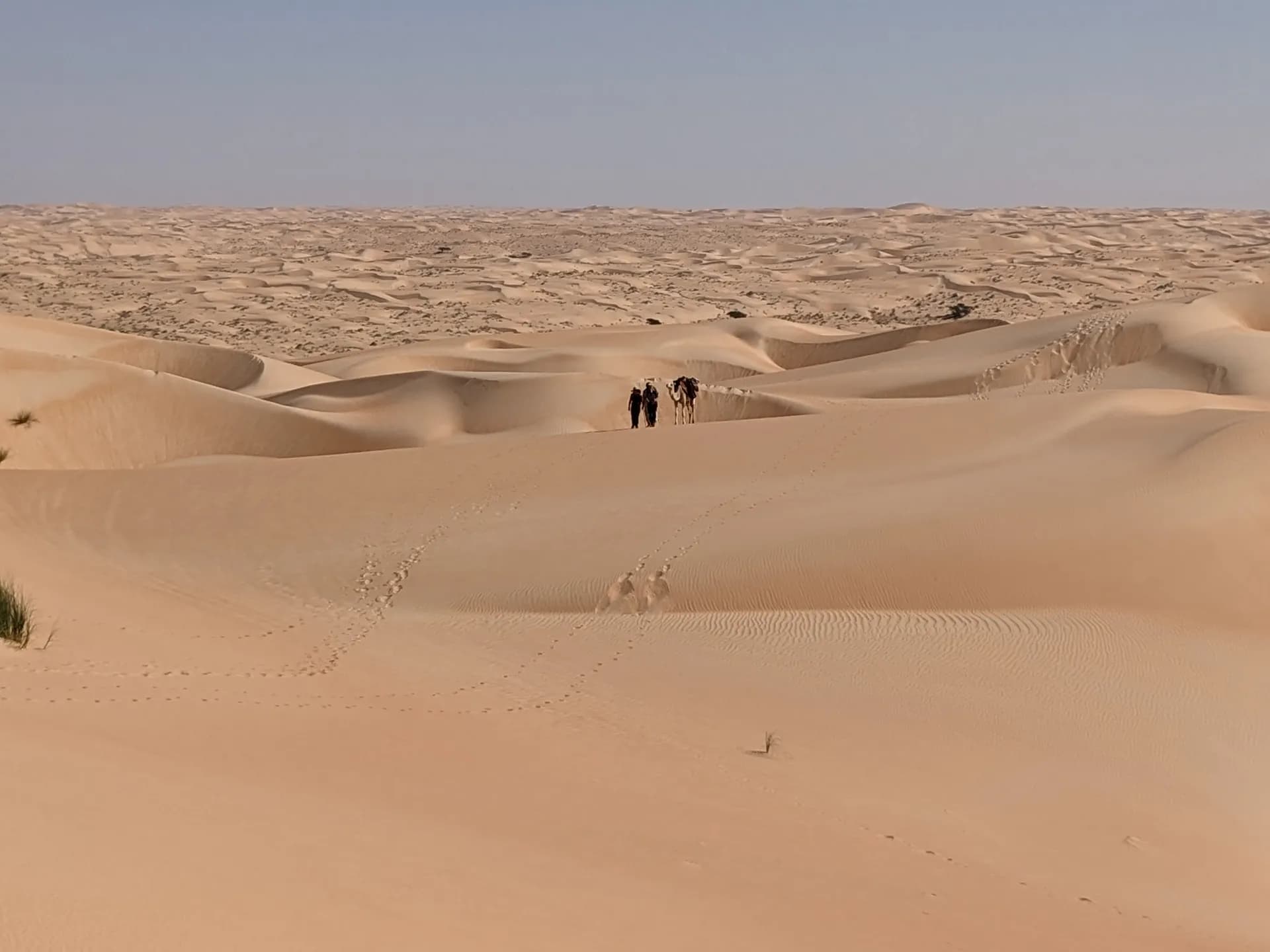 Progression in the immensity of the Mauritanian desert