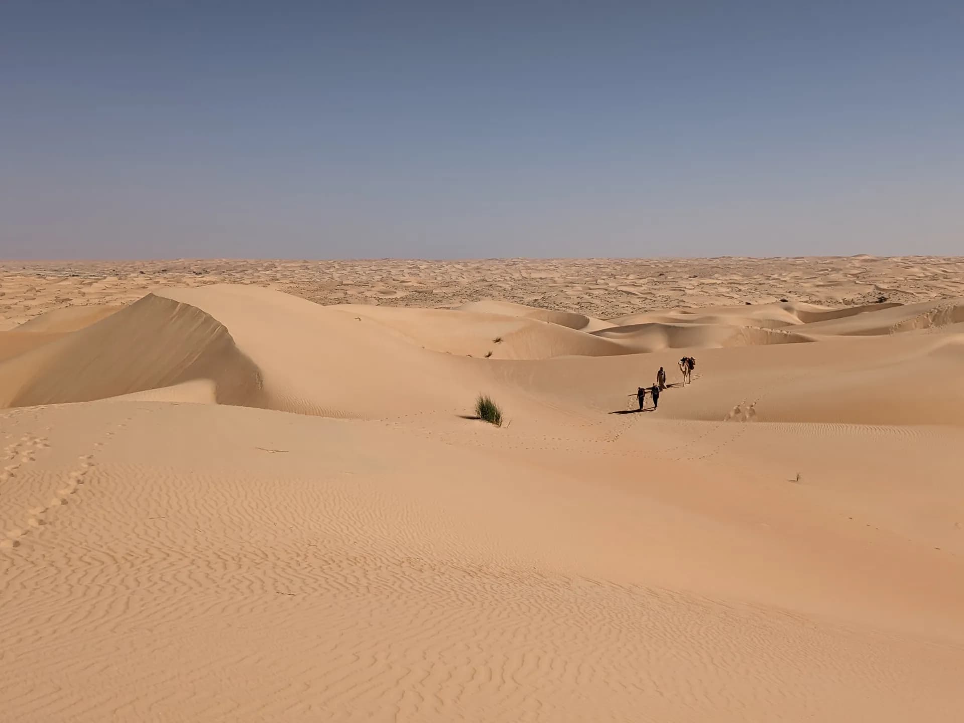 Progression in the immensity of the Mauritanian desert