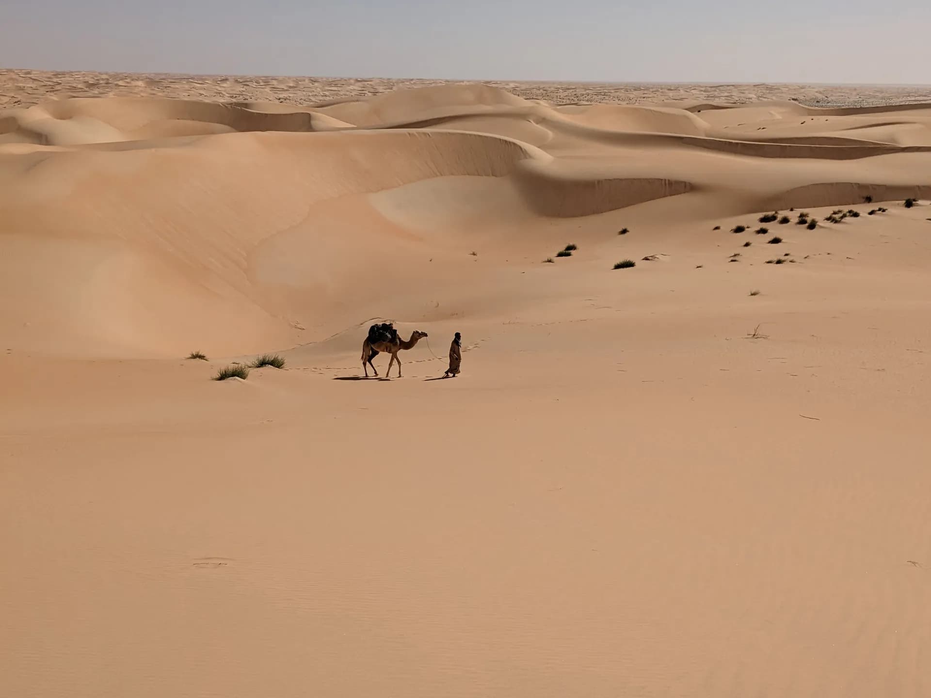 Great trek from Ouadane to Arouetine by Chinguetti in Mauritania