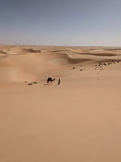 Mauritania desert