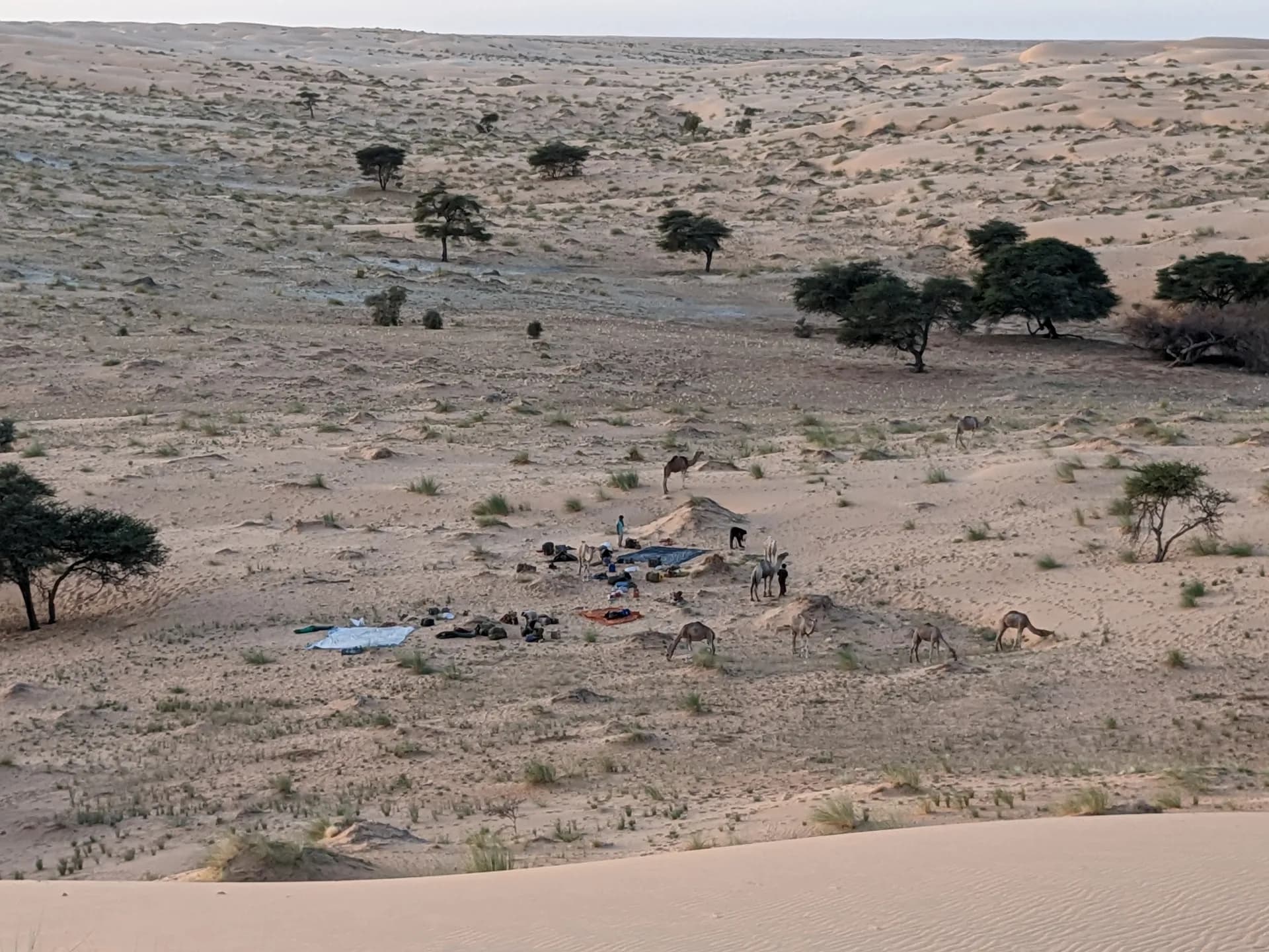Preparing the camp for the night