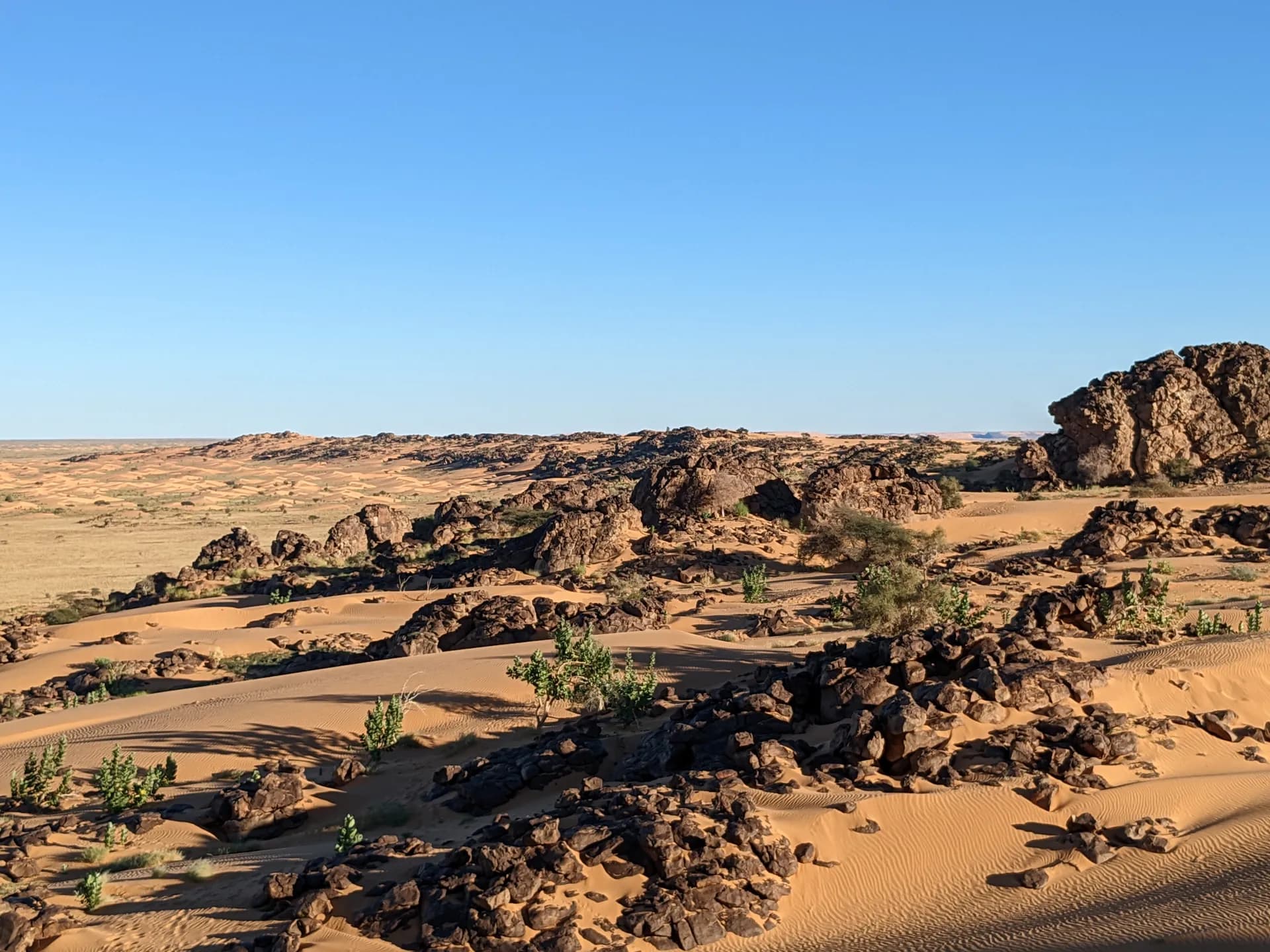 The vastness of the desert