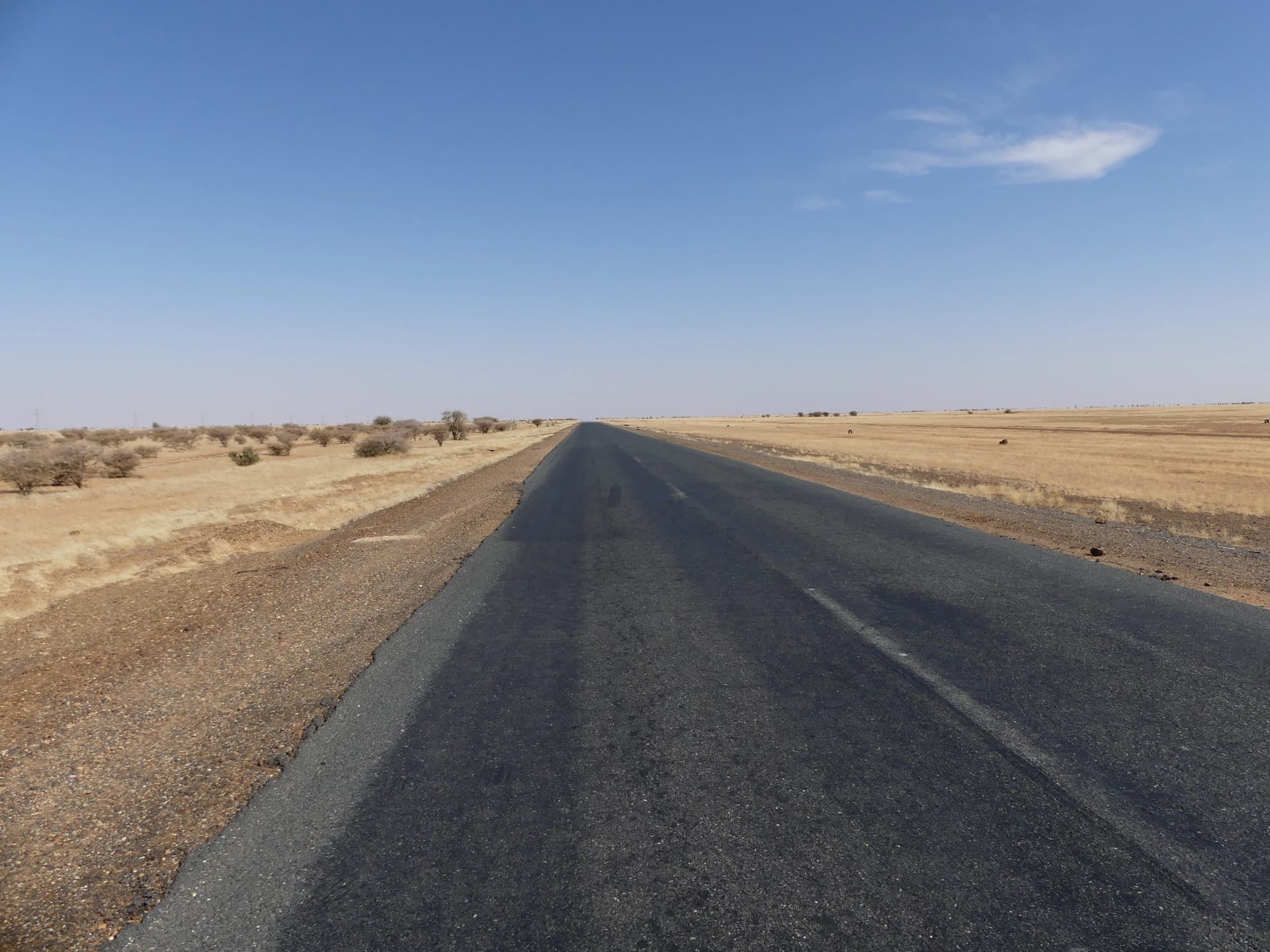 Long transfer from Nouakchott to Ouadane in 4x4 (photo credit Rémi)