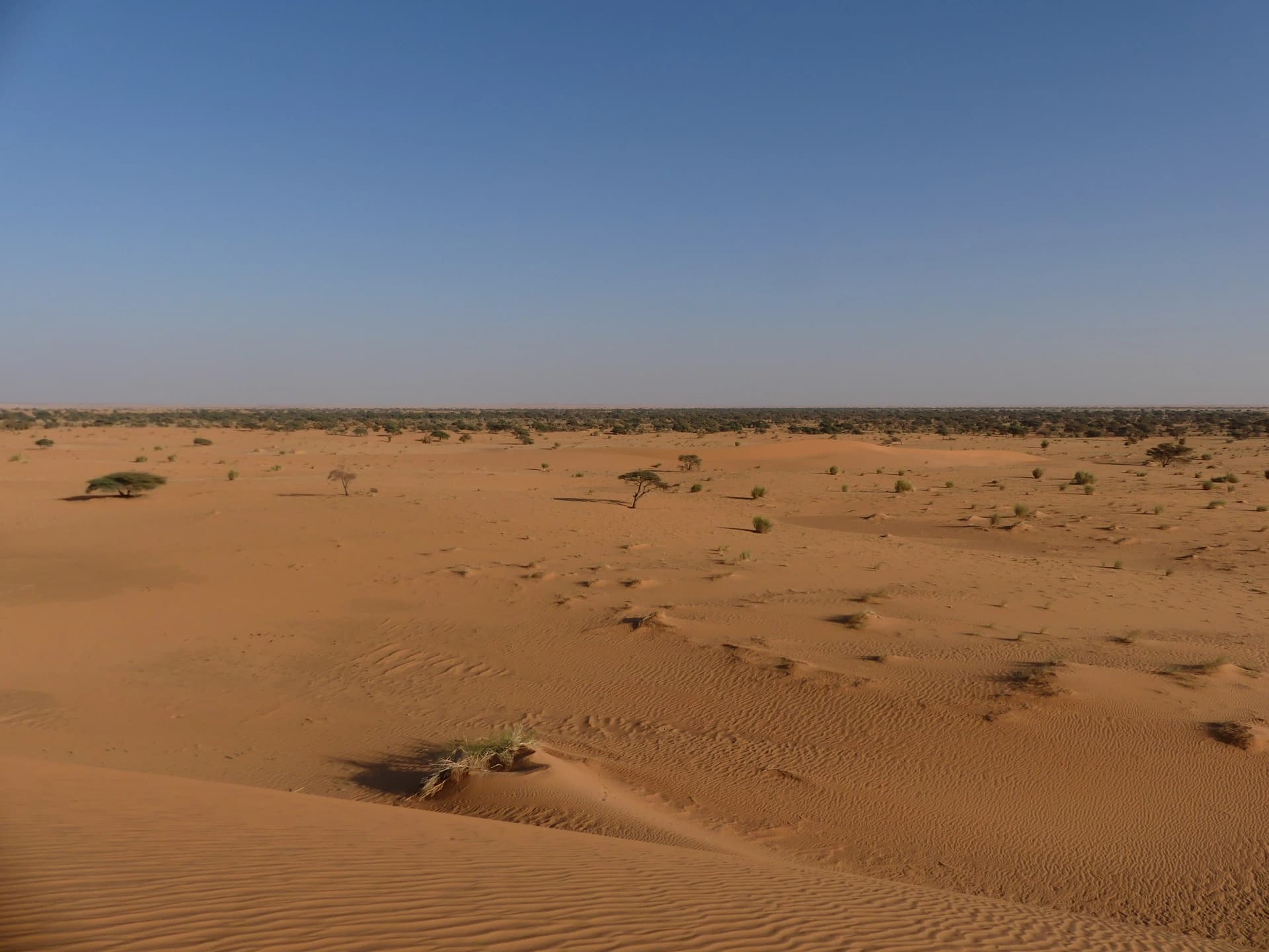 Desert expanse (photo credit Rémi)