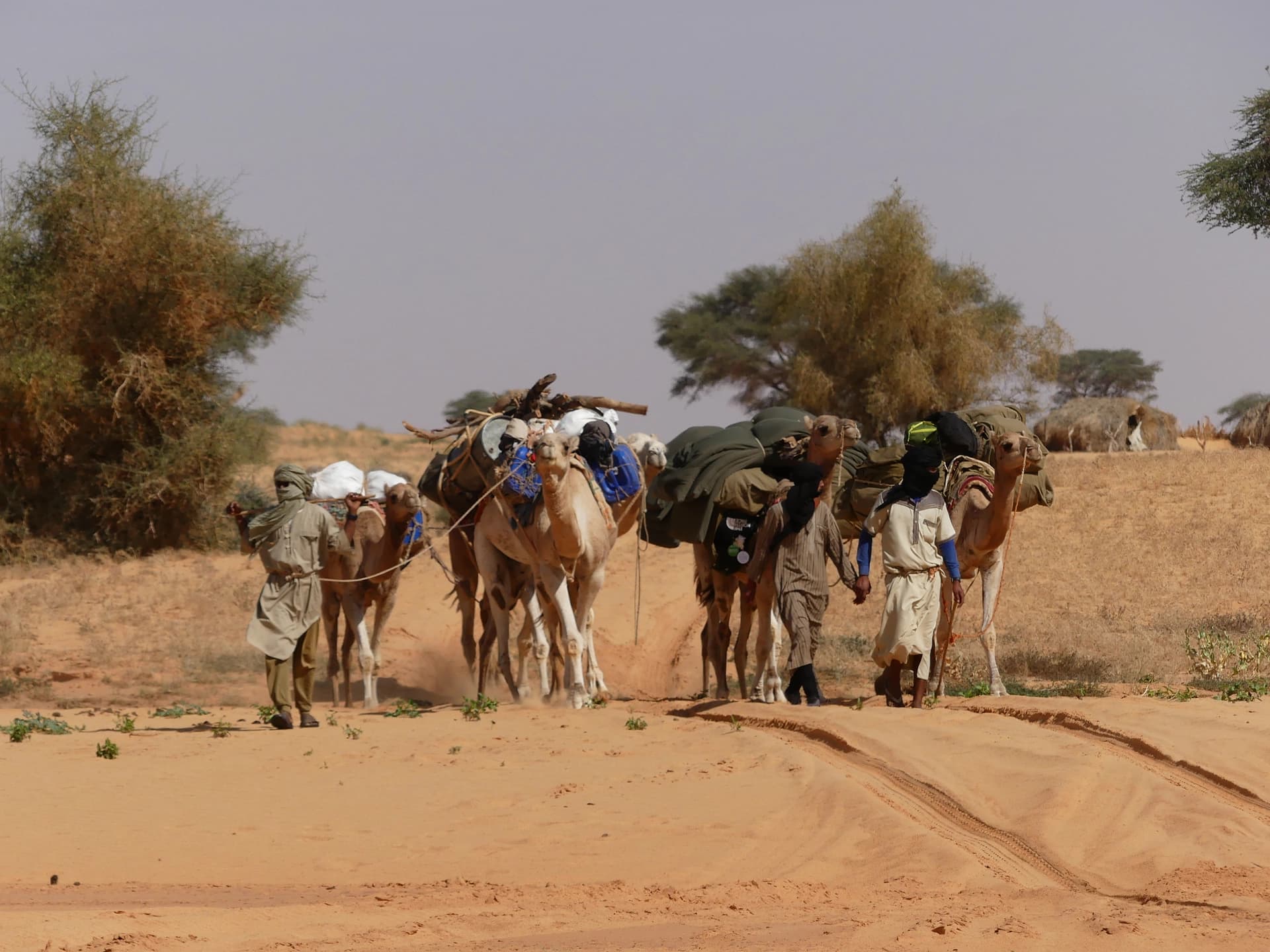 Our camel trek for carrying our belongings (photo credit Rémi)