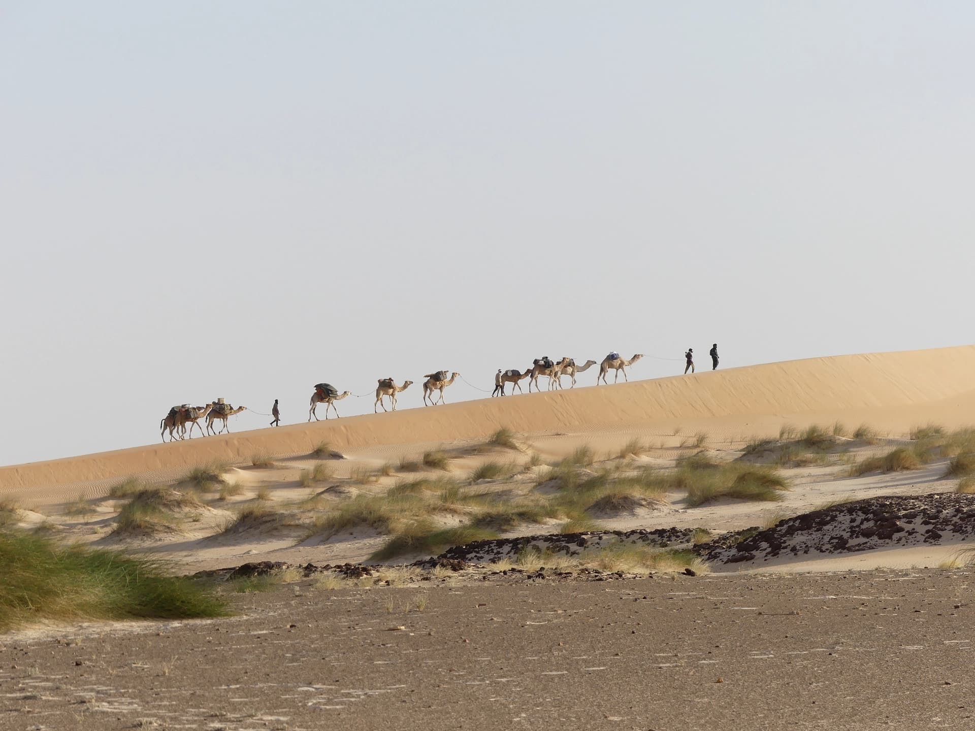 The camel trek stretched on a dune (photo credit Rémi)