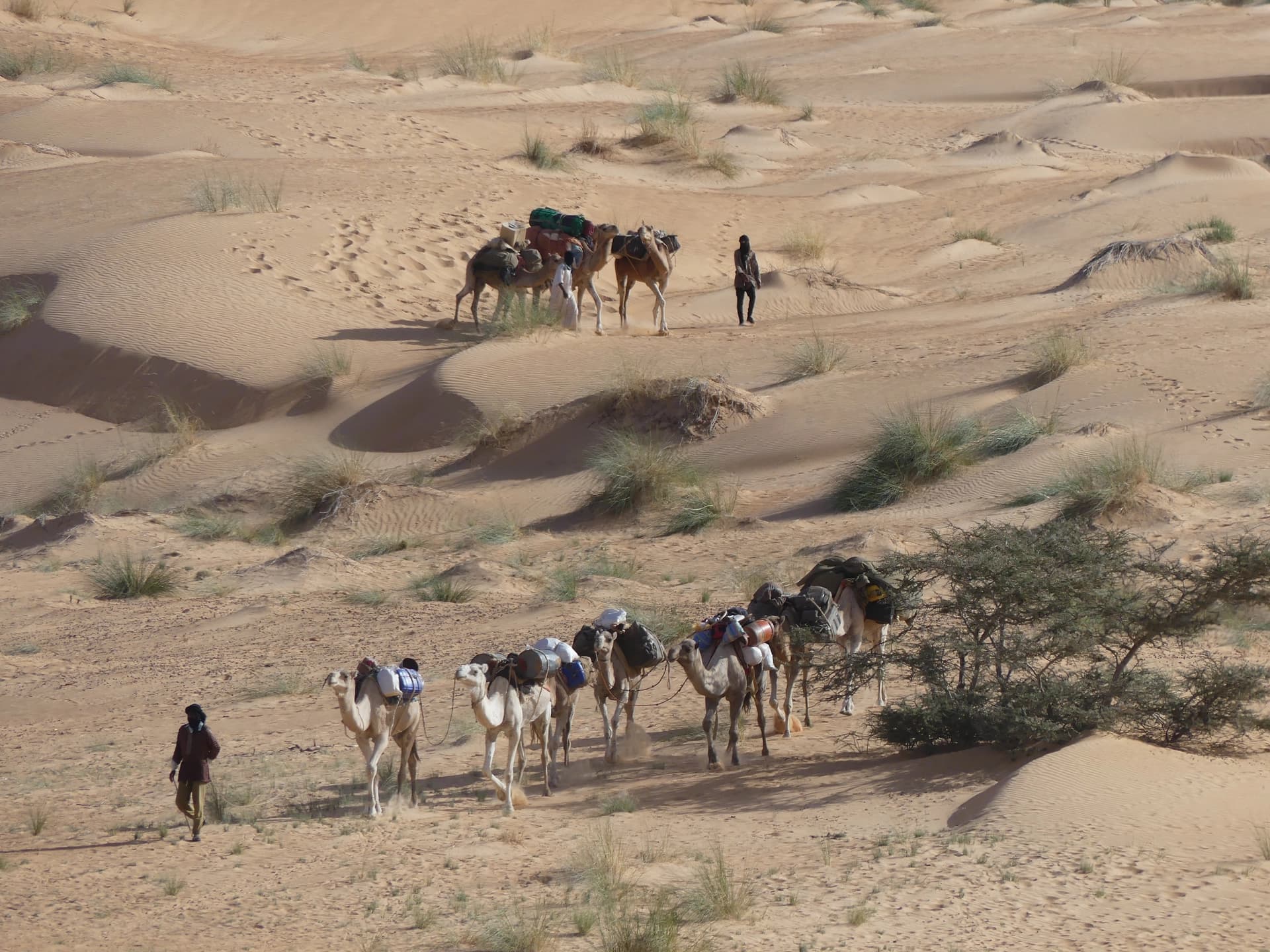 Our camel trek (photo credit Rémi)