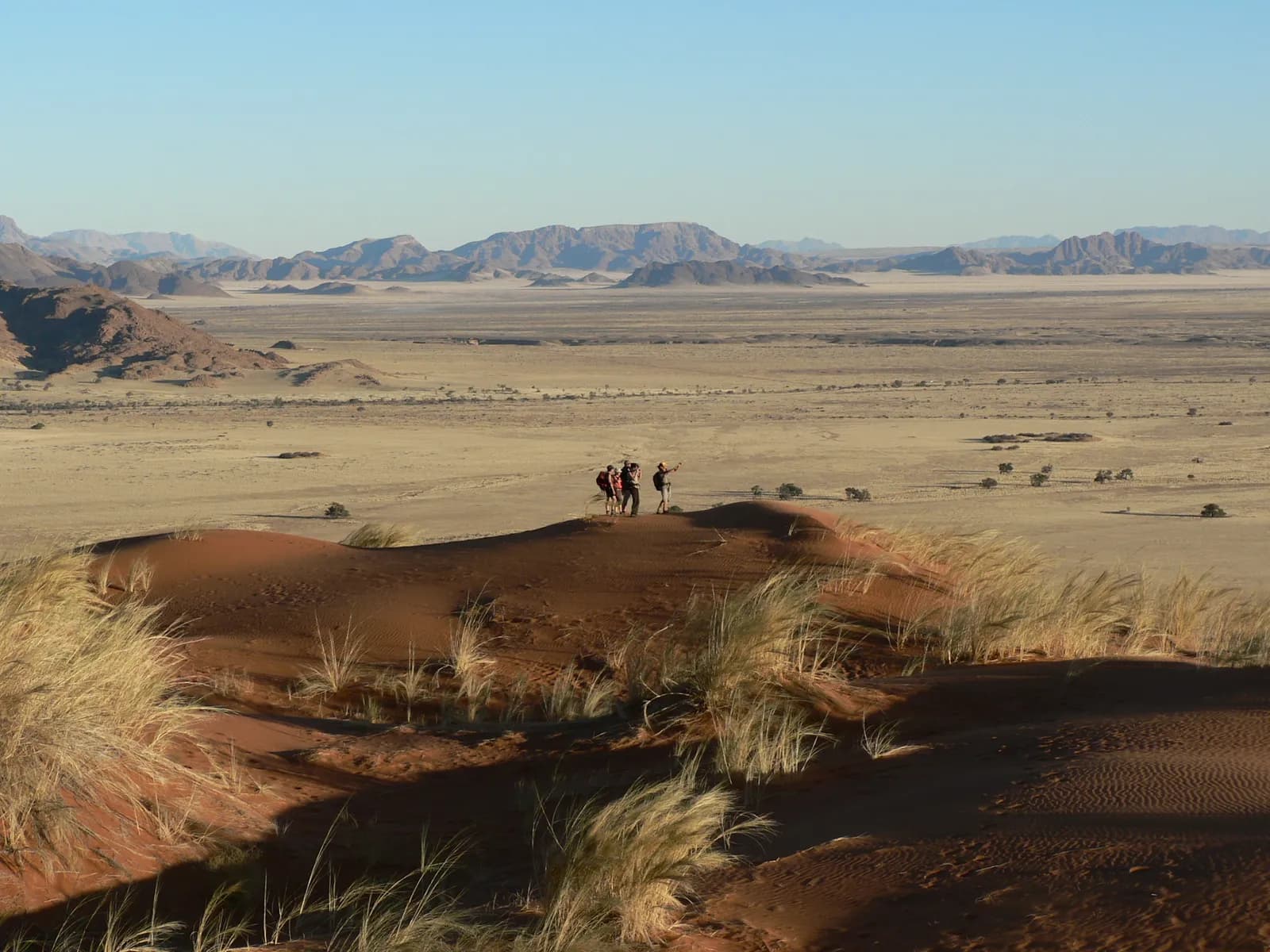 Trekking in Namib desert