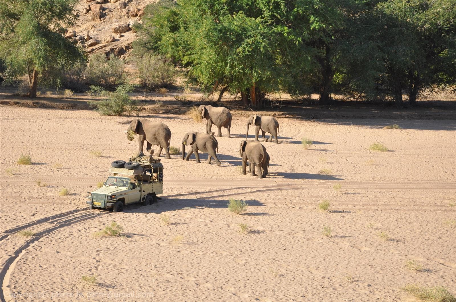 Un mois d'écovolontariat avec l'association EHRA en Namibie