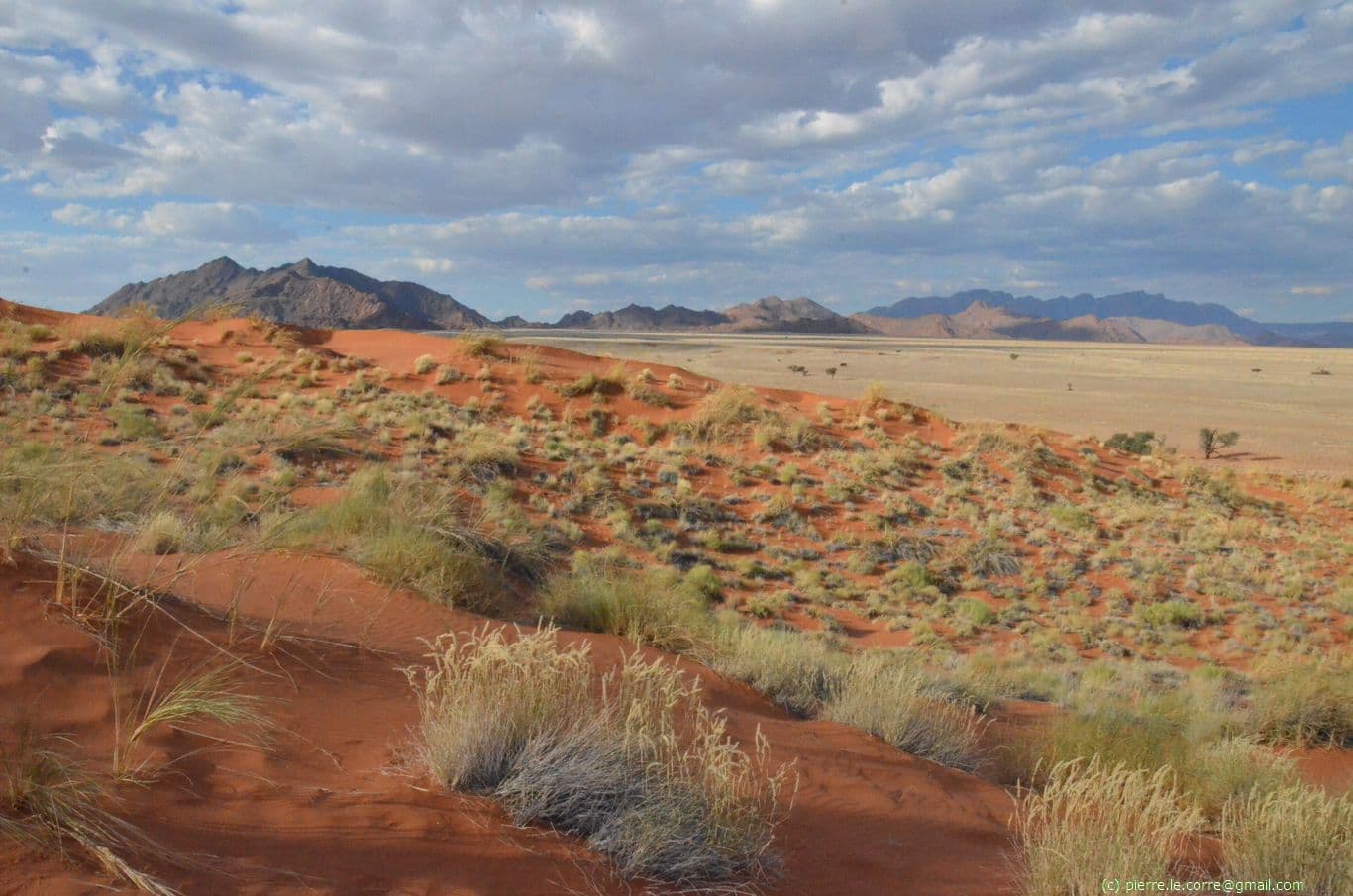 Road trip 4x4 avec tente sur le toit en Namibie