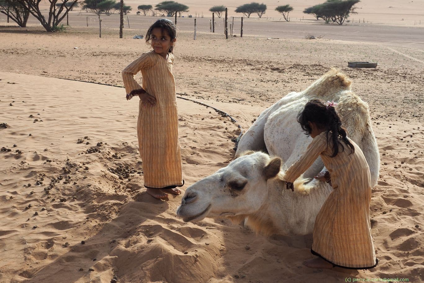 jeunes filles bédouines