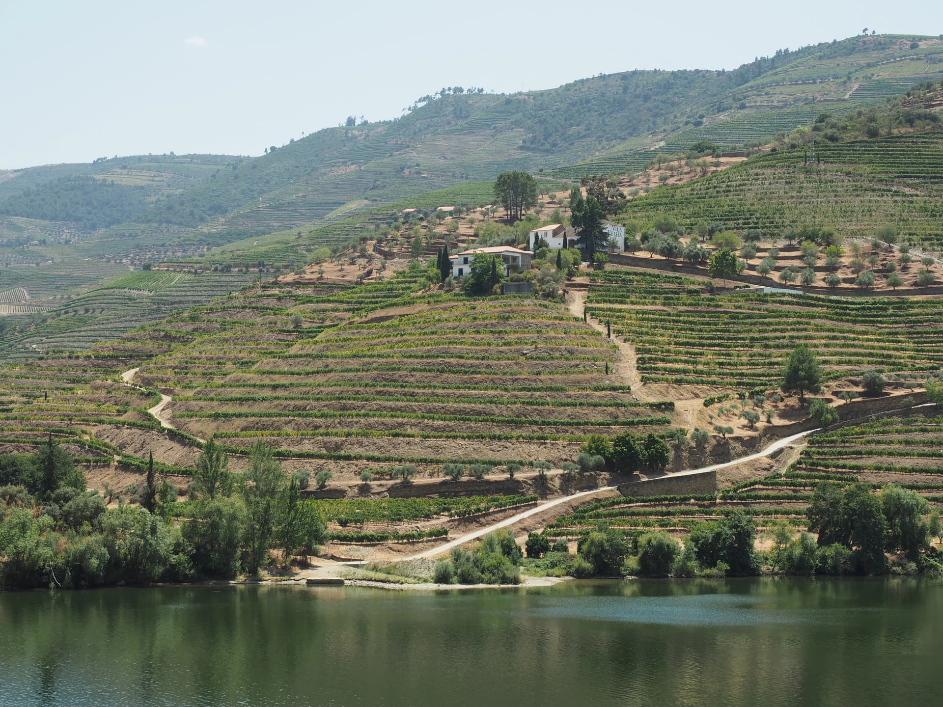 Domaine viticole de la vallée du Douro depuis le train