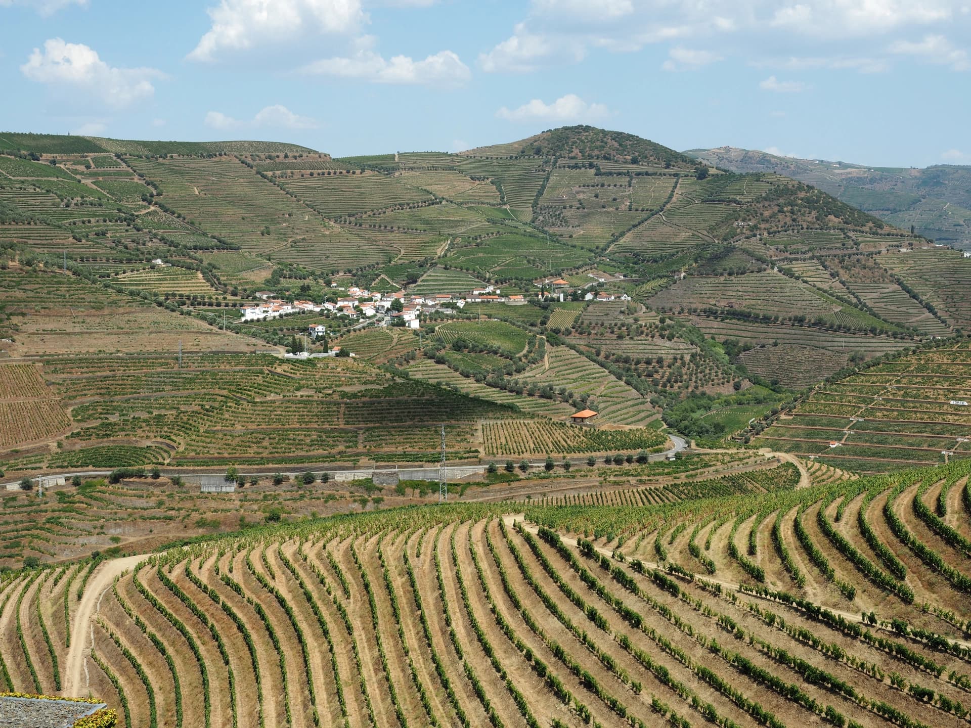 Paysage de la vallée du Douro avec un domaine viticole