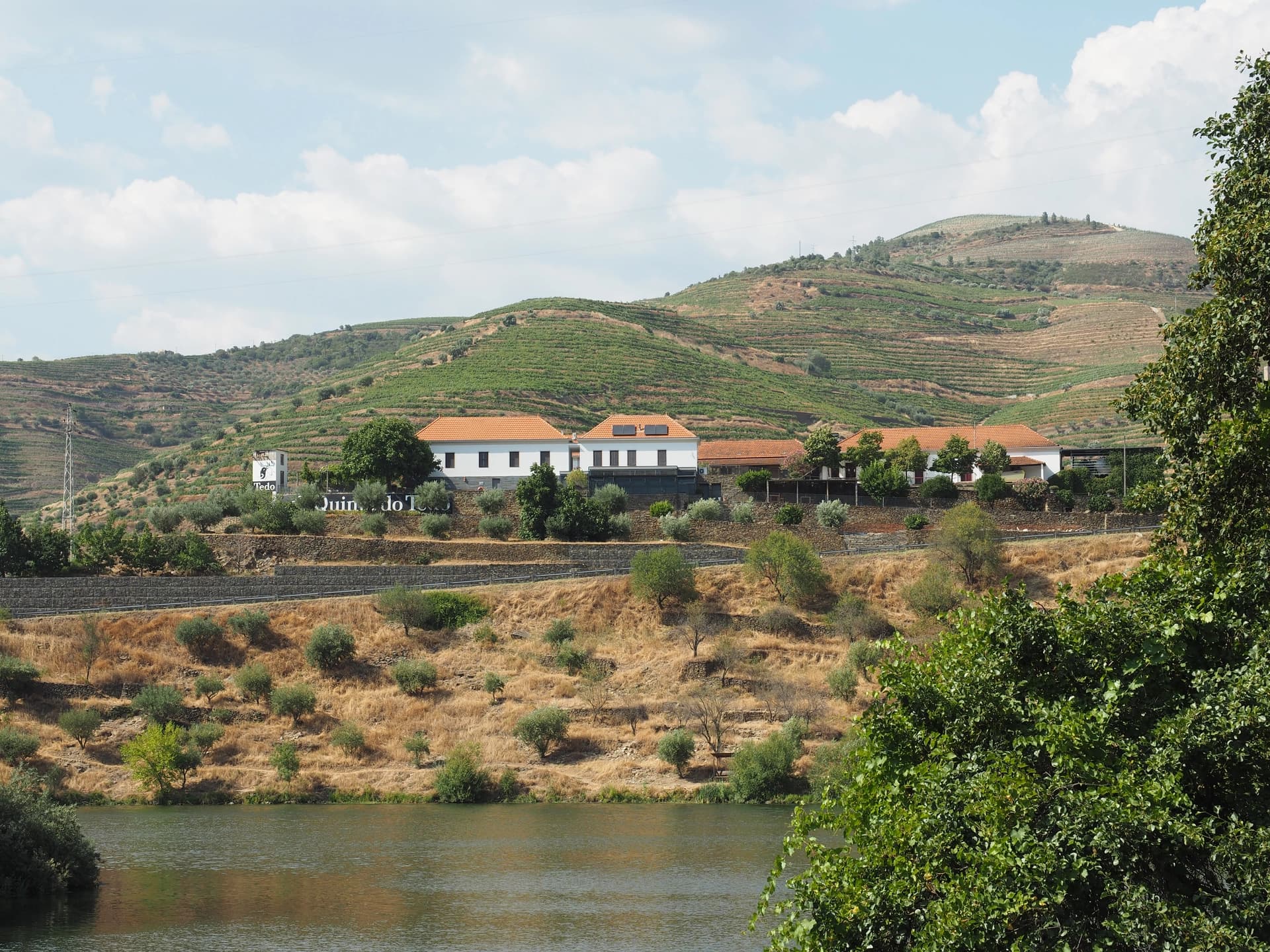 Domaine Quinta do Tedo - visite et dégustation de portos et de vins