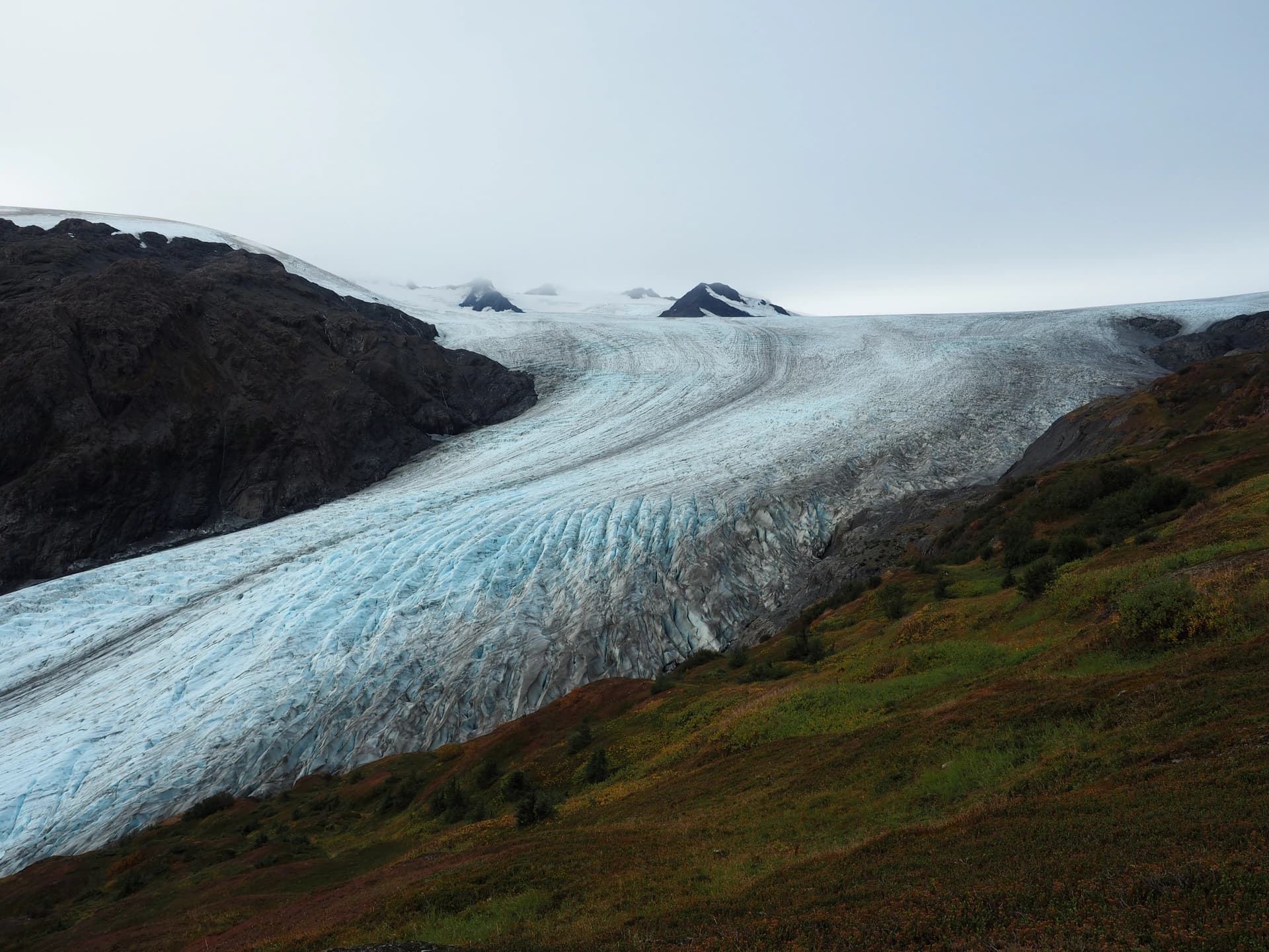 Exit Glacier (haut du sentier)