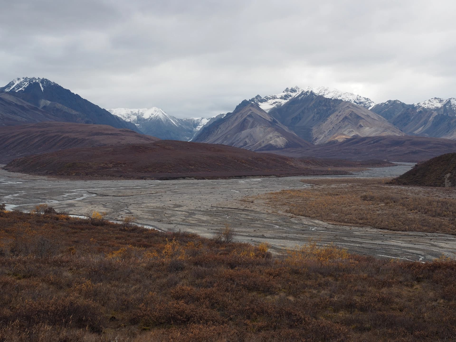 Denali NP