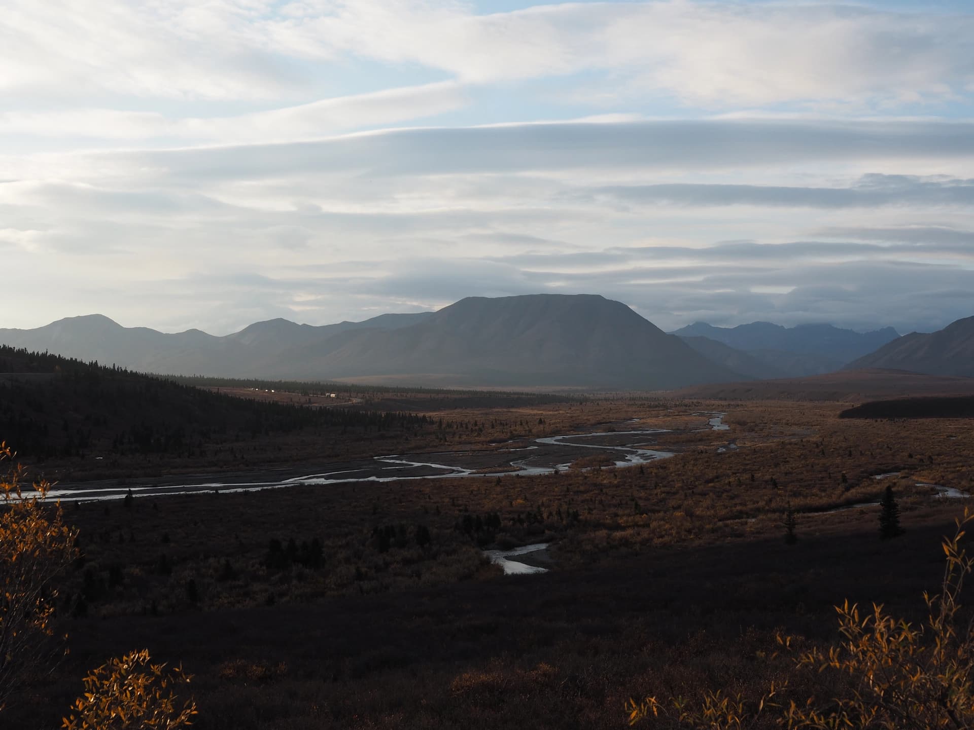 Dernier jour au Denali NP et départ.