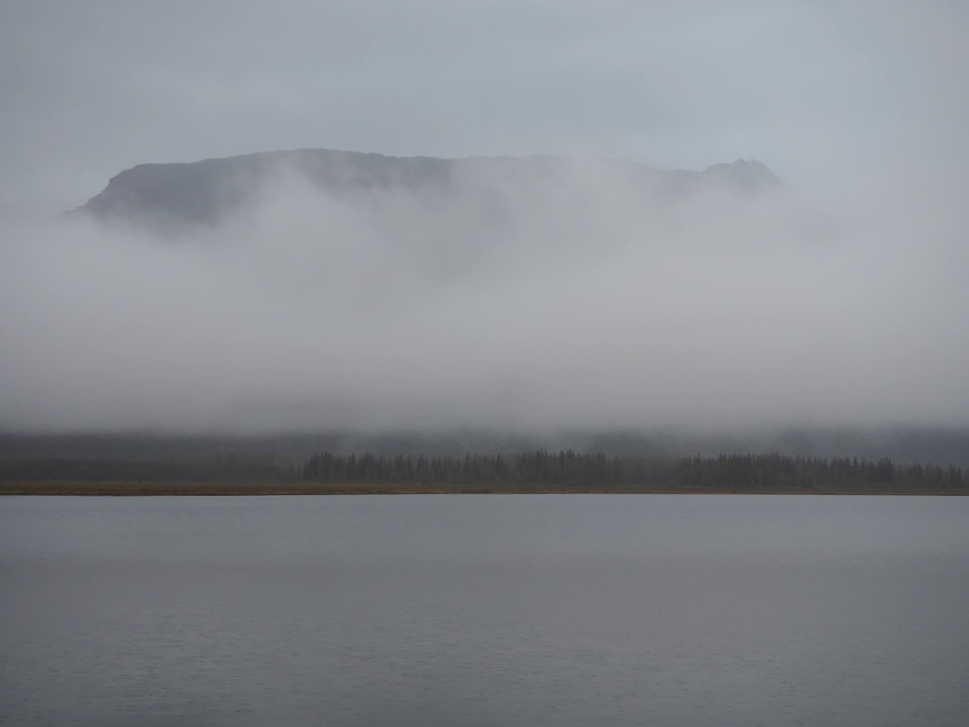 Robe Lake, au petit matin sous la pluie