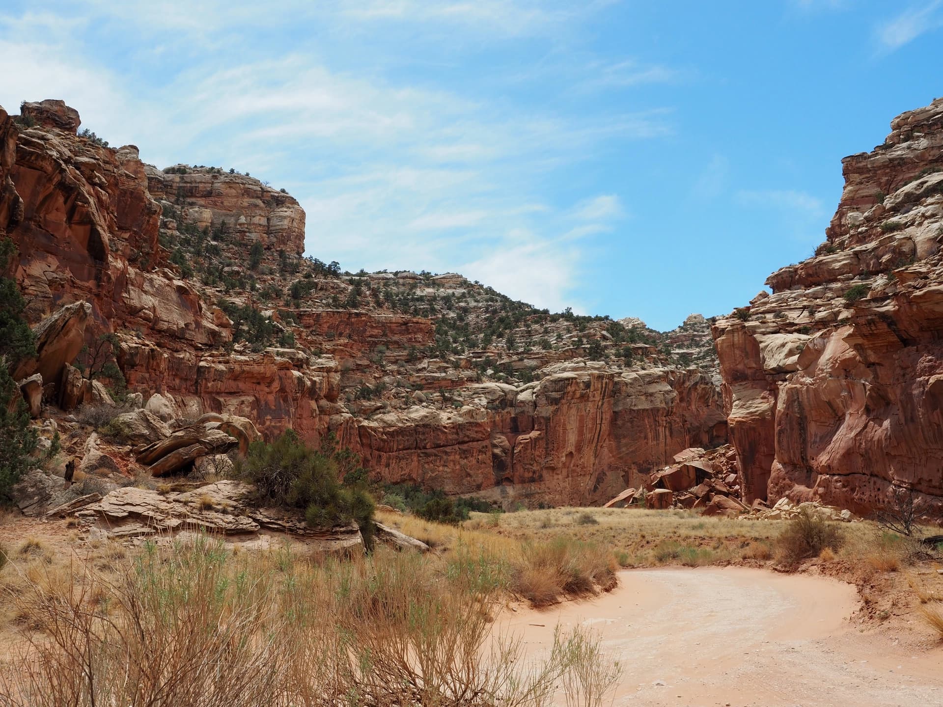 Capitol Reef National Park