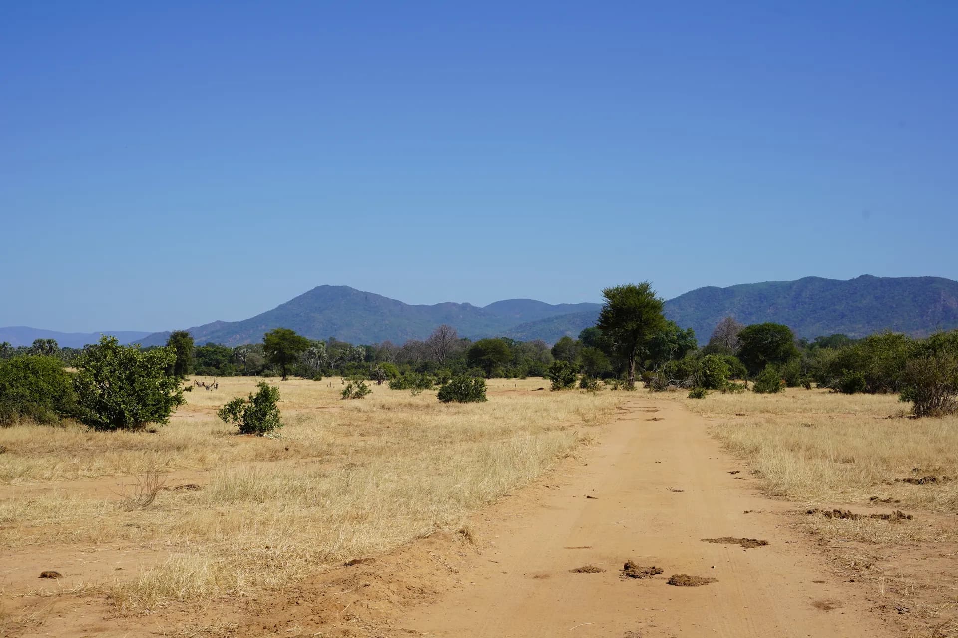 Piste du parc Lower Zambezi (peu fréquenté)