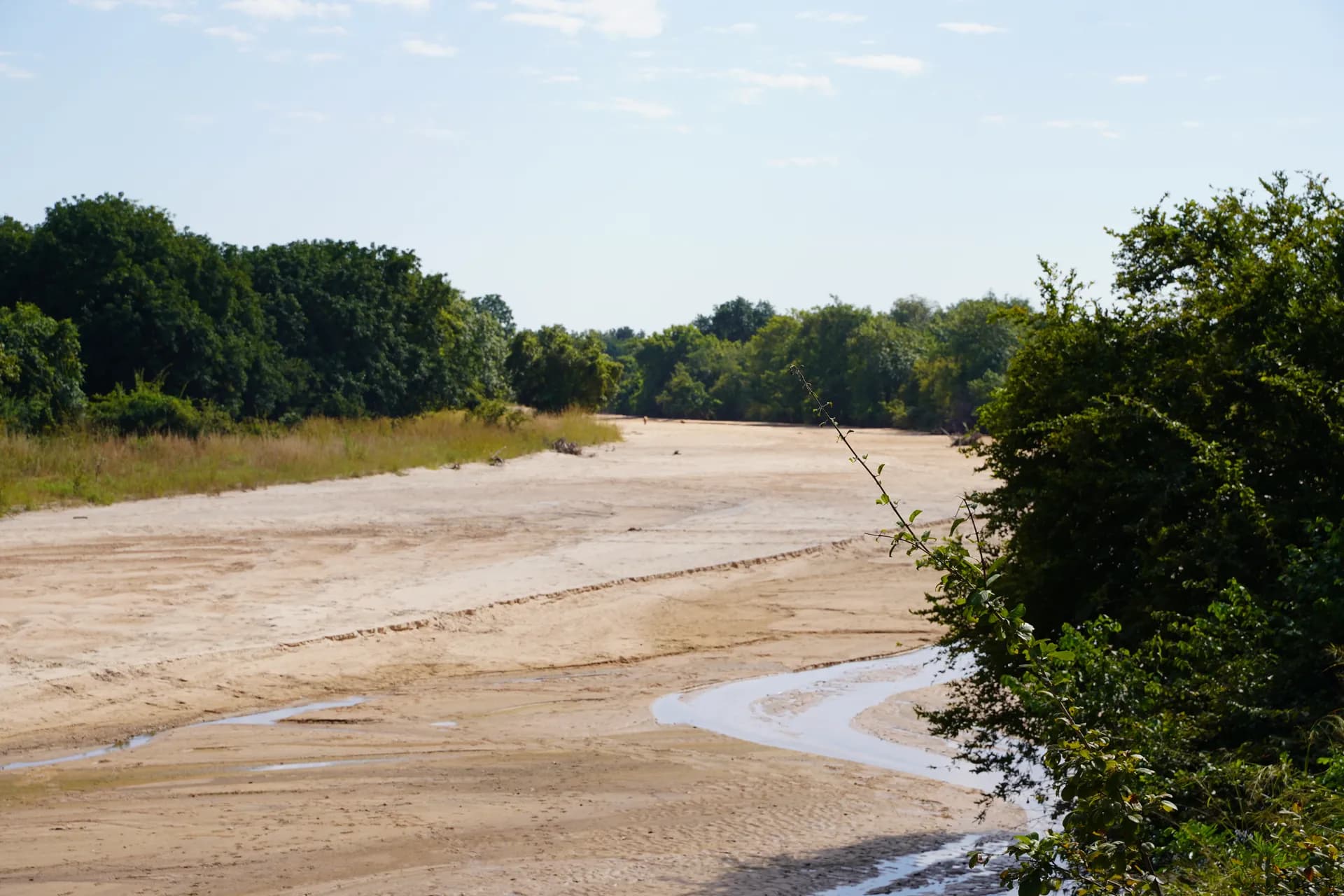 Mushilashi Bridge, le lit de la rivière avec des lions au loin (le photographe n'est pas toujours réactif: spotter, prendre l'appareil réflex et viser)