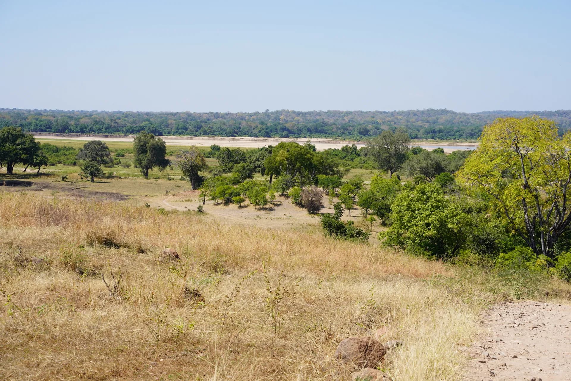 Direction Chichele, plaine de la partie sud ouest du parc South Luangwa