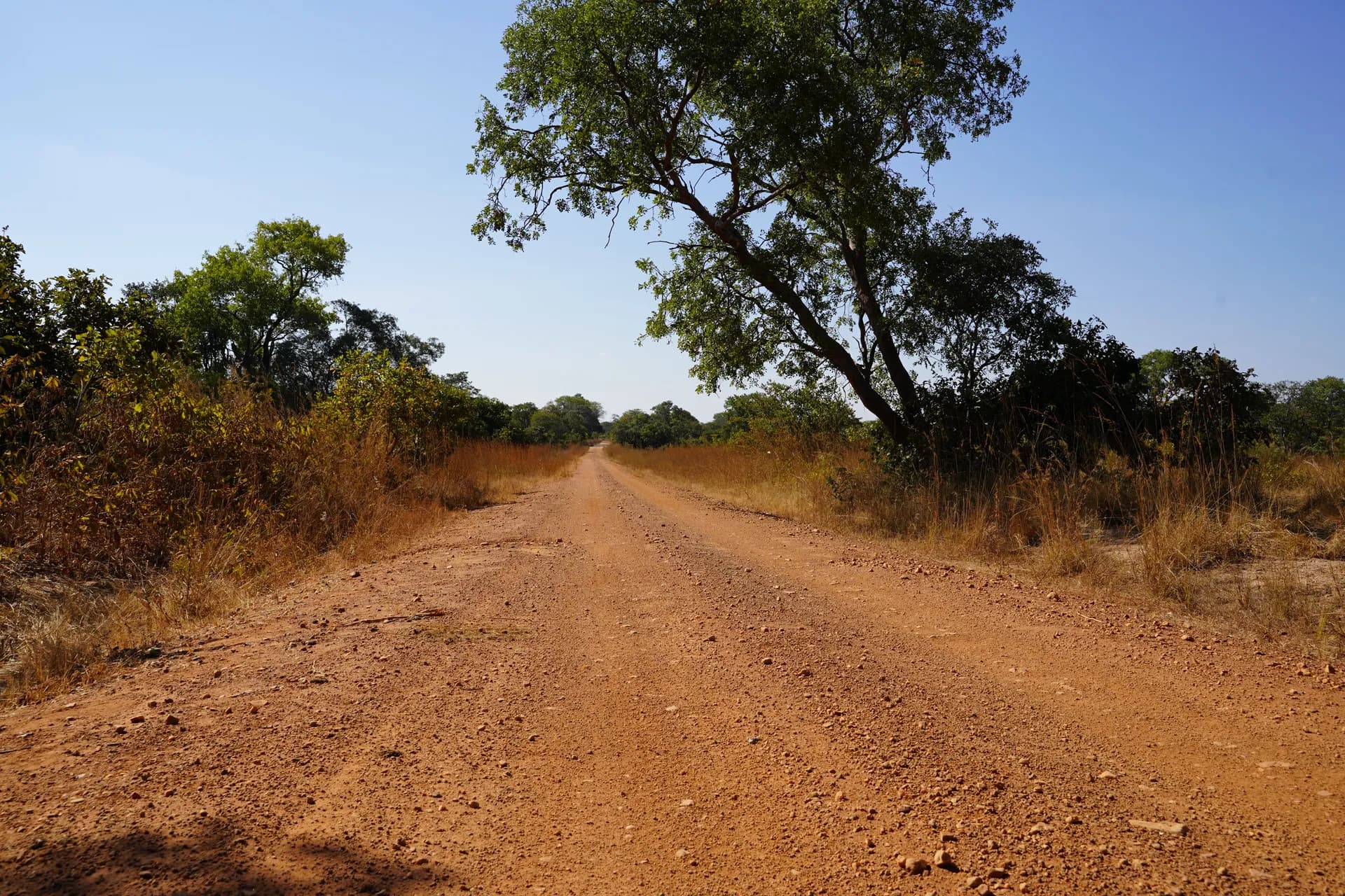 Longue piste pour explorer le sud du parc de Kafue