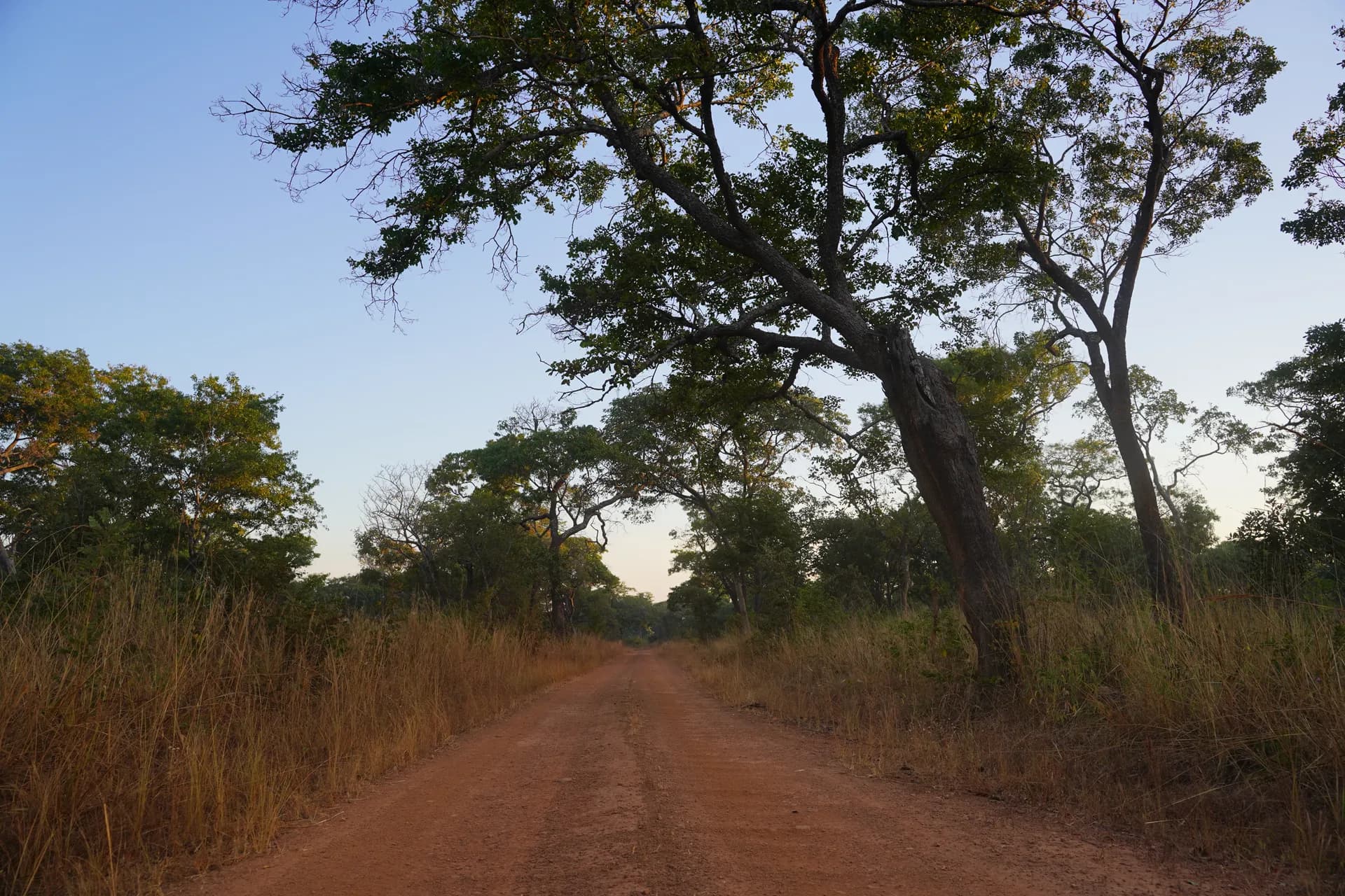La Spinal road du sud du parc Kafue (une bonne piste de terre contrairement au nord)