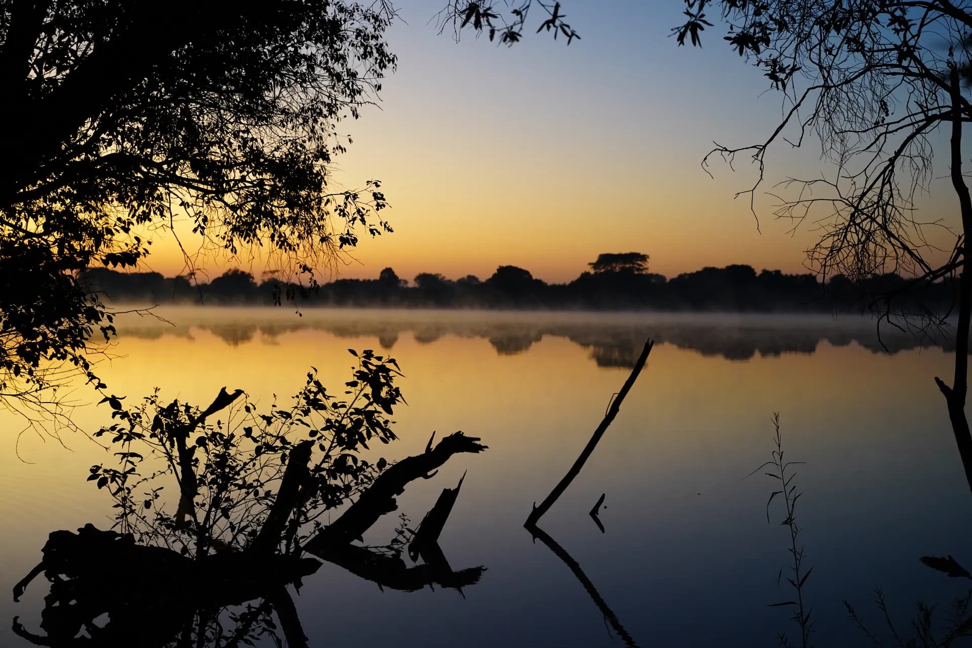 Lecture dans l'après-midi. Nuit bercée par les hippopotames et les rugissements d'un lion à proximité (de l'autre côté de la rivière Kafue).
