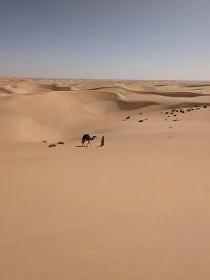 Désert de Mauritanie